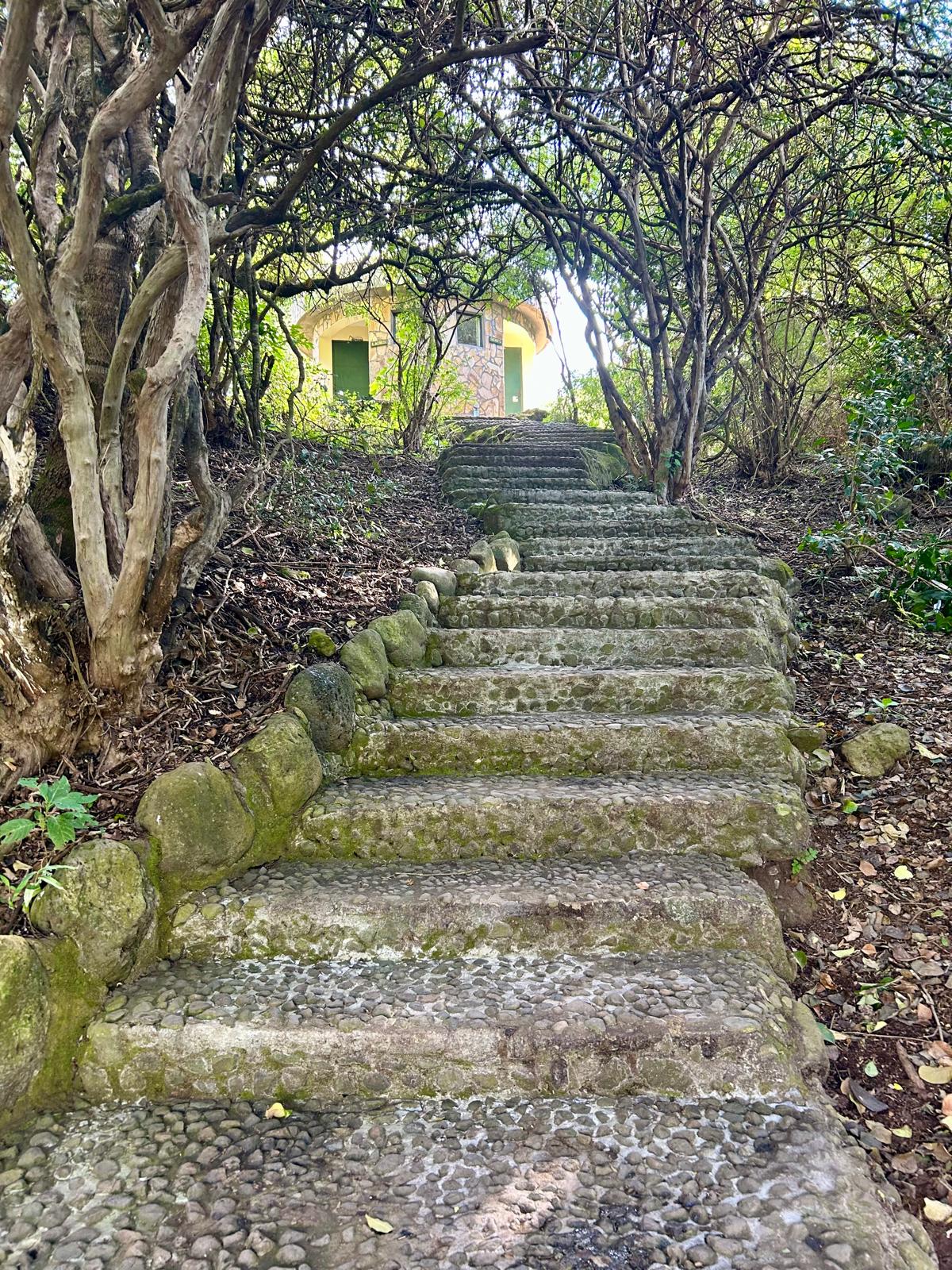 Nature walk through open hills and countryside