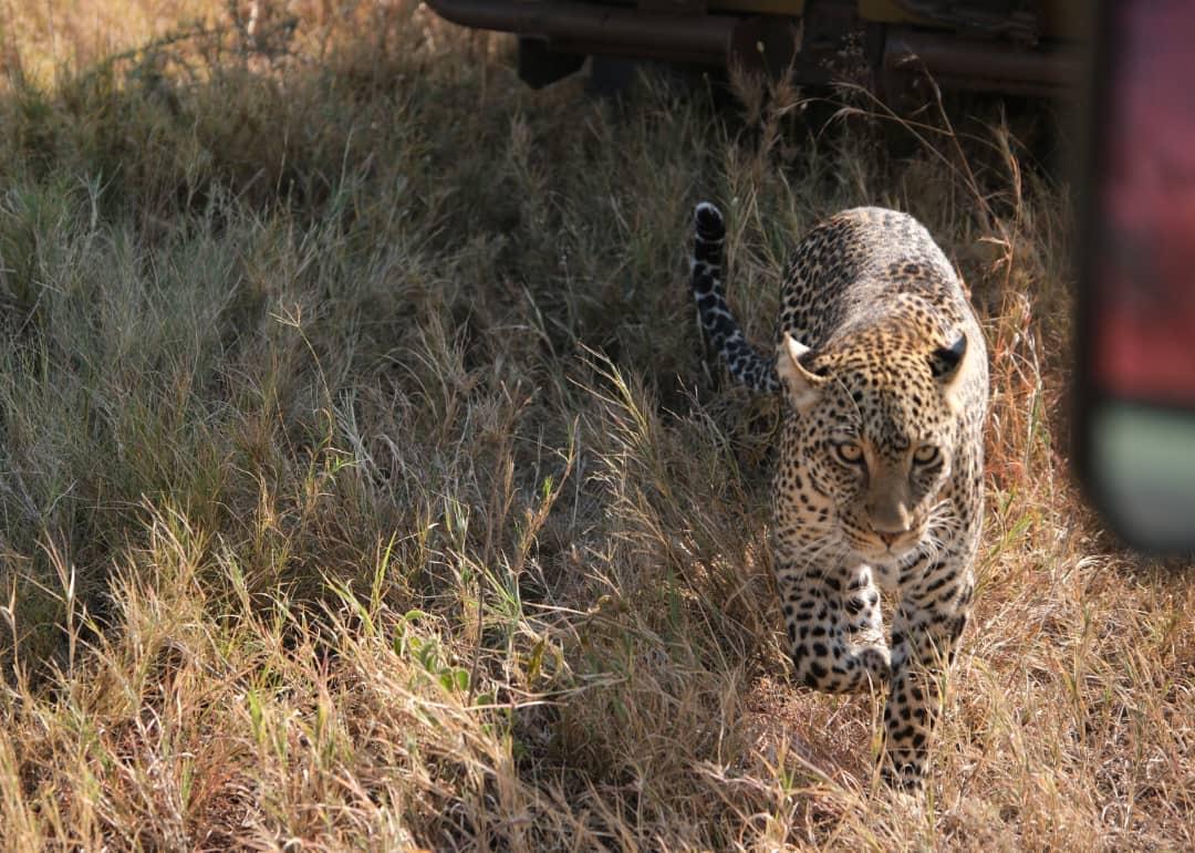 Lake Manyara scenic views
