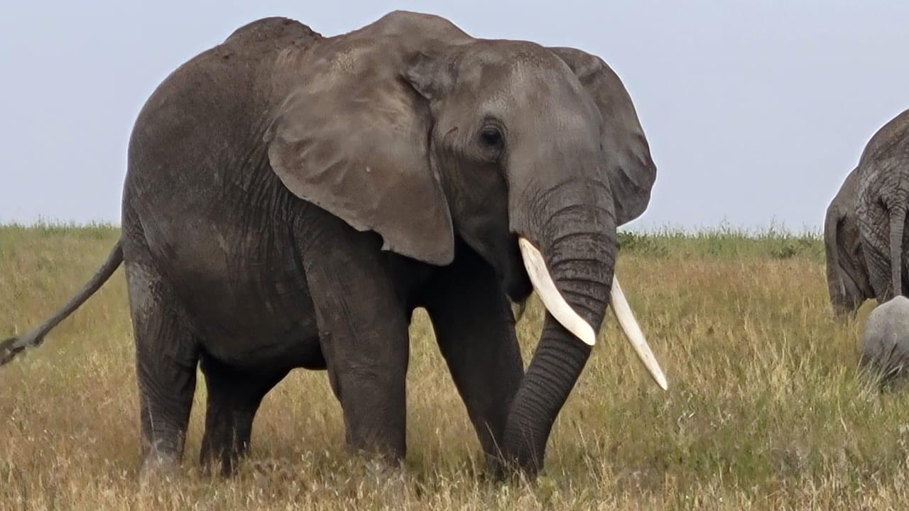 Arusha National Park nature